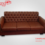 Canapea extensibila Moby