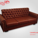 Canapea extensibila Moby