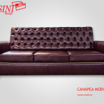 Canapea extensibila Moby