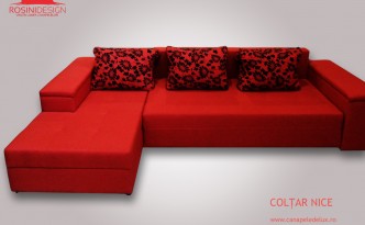 Coltar Nice