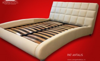 Pat Antalis