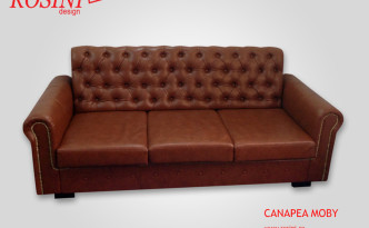 Canapea extensibila Moby