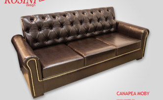 Canapea extensibila Moby
