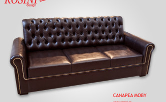Canapea extensibila Moby
