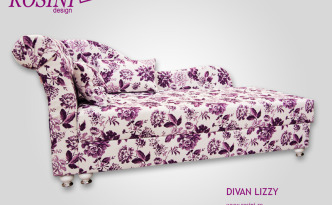 Divan Lizzy