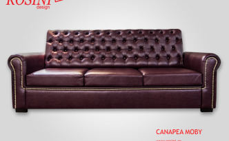 Canapea extensibila Moby